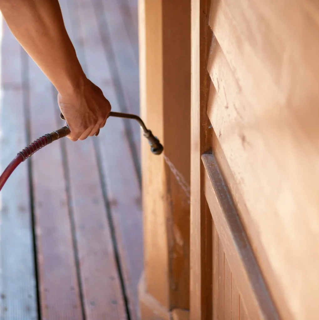 Trusted Pest Control - Holbrook Pest Control Pros | Holbrook, NY | 631-866-0099
